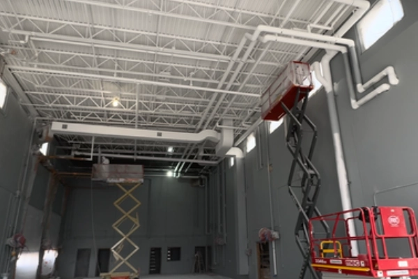 Professional Painter